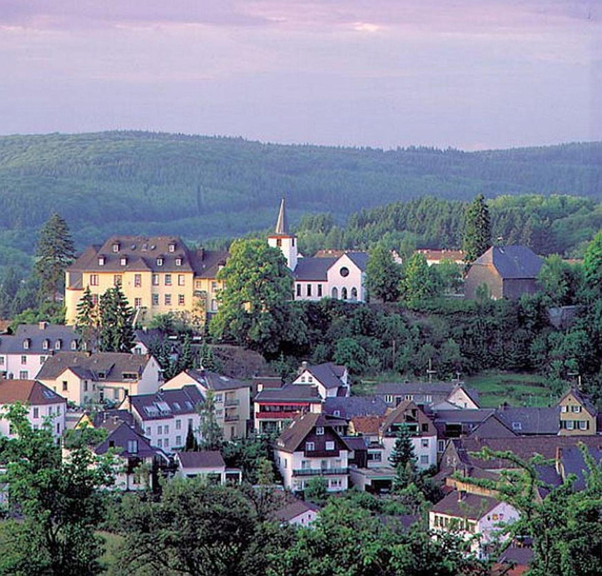 Ferienwohnung Vulkaneifel In Daun Exterior foto